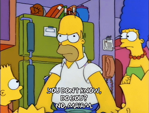 homer simpson episode 3 GIF