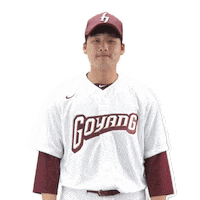 Thumbs Up Sticker by Kiwoom Heroes Baseball Club