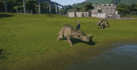 WildlifeWonders giphygifmaker GIF