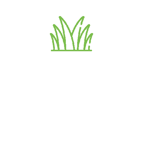 NaturesTurf giphyupload grass turf lawncare Sticker