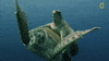 Nat Geo Ocean GIF by National Geographic Channel