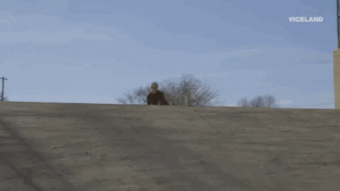 viceland GIF by ABANDONED