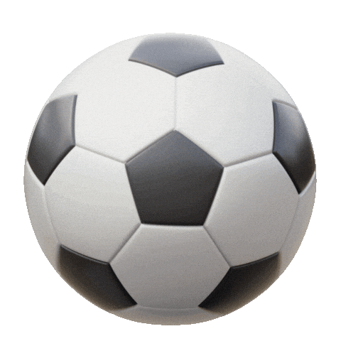 World Cup Football Sticker