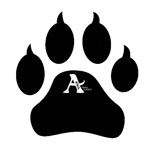 Spay Spaying Sticker by Big Paws of the Ozarks