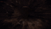Toxic GIF by Divo Music
