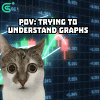 Cat Crypto GIF by GoPlus Labs