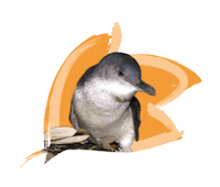Endangered Species Australia Sticker by NSW Department of Planning, Industry and Environment