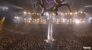 pink pink p!nk glitter in the air 2010 grammys GIF