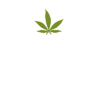 Iced Tea Relax Sticker by Pella Biocannabis Farm