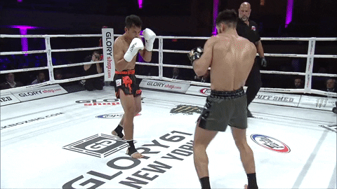 GLORYKickboxing giphyupload muay thai knockouts glory kickboxing GIF