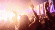 OktoberfestTrento fest oktoberfest tirol trento GIF
