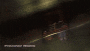 Warner Bros Wb GIF by Warner Bros. Pictures