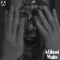 Freaking Out GIF by Arrow Video