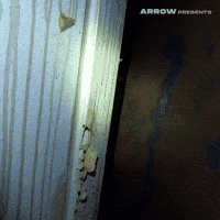 Found Footage Film GIF by Arrow Video