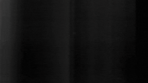 Football Sport GIF by SK Sturm Graz