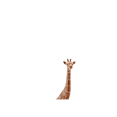 Jump Love Sticker by Schleich Inc.