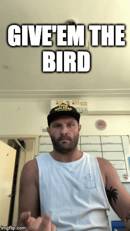 GIF by Budgy Smuggler