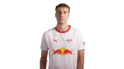 Red Bull Win Sticker by RB Leipzig