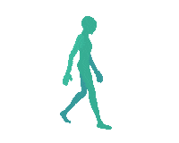 Walking Sticker