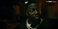 Kevin Hart GIF by The Roku Channel