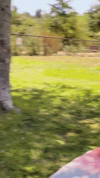 Best Besties GIF