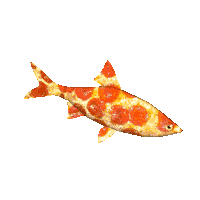 Sea Life Sticker Sticker by SoulfulSock