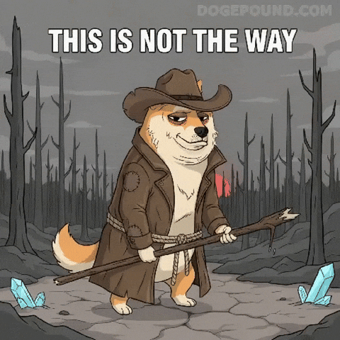 Shiba Inu No GIF by Doge Pound