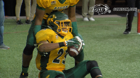 north dakota state football GIF by NDSU Athletics