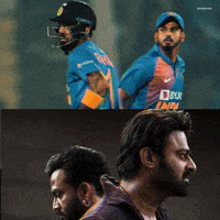 Dc Cricket GIF