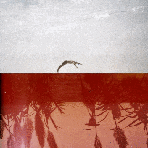 GIF by Blanca Viñas