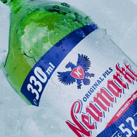 bereneumarkt fun nature beer cheers GIF