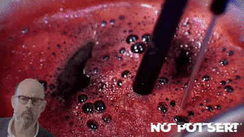 NoPotSer tv3 jordi baste no pot ser nopotsertv3 GIF