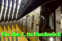 New York City Nyc GIF by This Bushwick Life