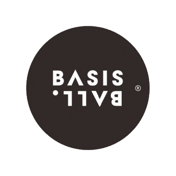 BasisBall giphyupload Sticker