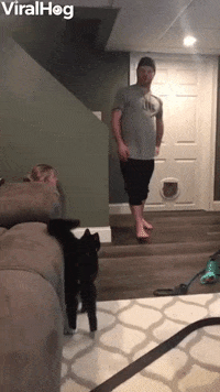 Family Having Fun Scaring Each Other GIF by ViralHog