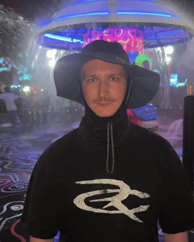 Bonnaroo GIF by Respective