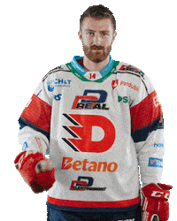 Hockey Czech Sticker by HC Dynamo Pardubice