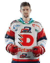 Hockey Czech Sticker by HC Dynamo Pardubice