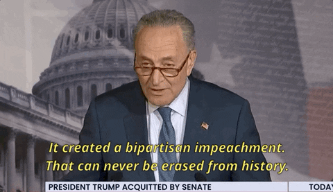 Chuck Schumer Impeachment GIF