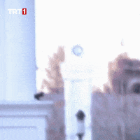 Sport Fly GIF by TRT