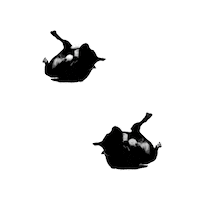 screamsushi dog roll doubledog Sticker