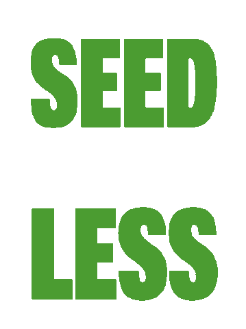 Vitamin C Cooking Sticker by POM, WSL, Halos