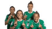 Sticker Emotion Sticker by SV Werder Bremen