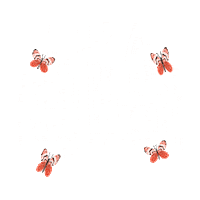 SoulSerious ibiza anthems brunch Sticker