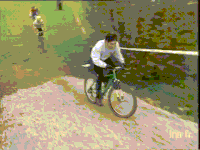 archive wtf GIF by franceinfo