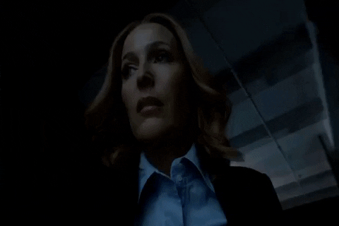 x files GIF by The X-Files