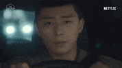 Netflix Driving GIF by The Swoon