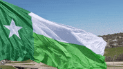 Mean Texas Flag GIF by UNT Athletics