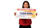 norskpostkodelotteri  Sticker