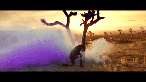 GIF by Pitchfork